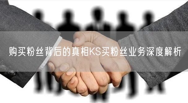 购买粉丝背后的真相KS买粉丝业务深度解析