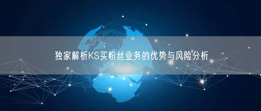 独家解析KS买粉丝业务的优势与风险分析