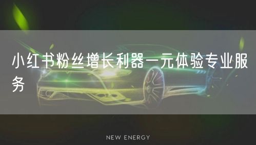 小红书粉丝增长利器一元体验专业服务