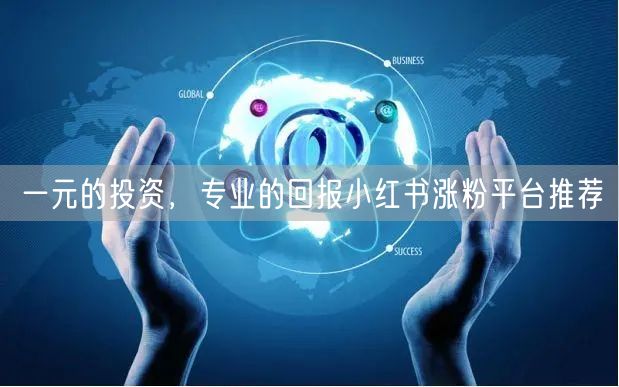 一元的投资，专业的回报小红书涨粉平台推荐