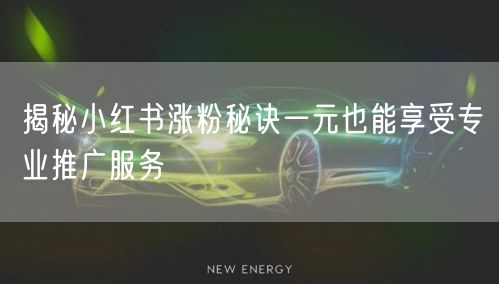 揭秘小红书涨粉秘诀一元也能享受专业推广服务