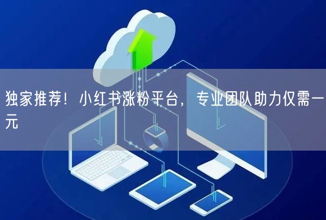 独家推荐！小红书涨粉平台，专业团队助力仅需一元