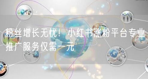 粉丝增长无忧！小红书涨粉平台专业推广服务仅需一元