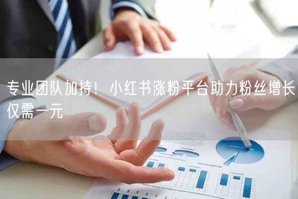 专业团队加持！小红书涨粉平台助力粉丝增长仅需一元