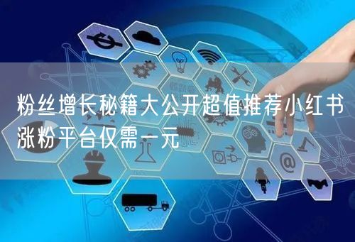 粉丝增长秘籍大公开超值推荐小红书涨粉平台仅需一元