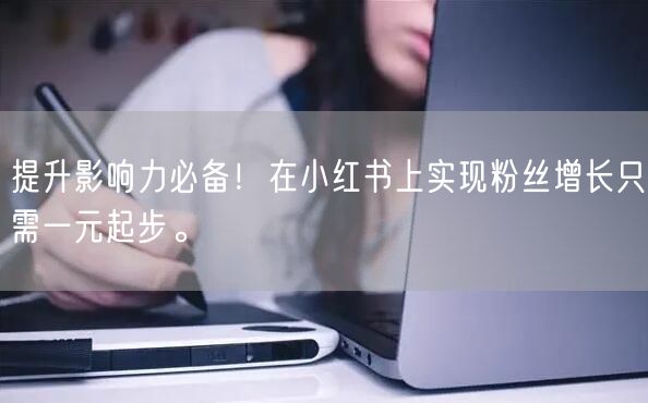 提升影响力必备！在小红书上实现粉丝增长只需一元起步。