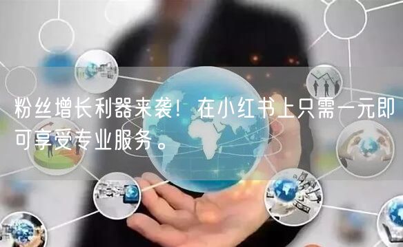 粉丝增长利器来袭！在小红书上只需一元即可享受专业服务。