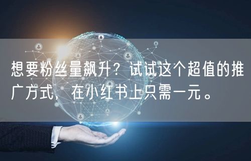 想要粉丝量飙升？试试这个超值的推广方式，在小红书上只需一元。